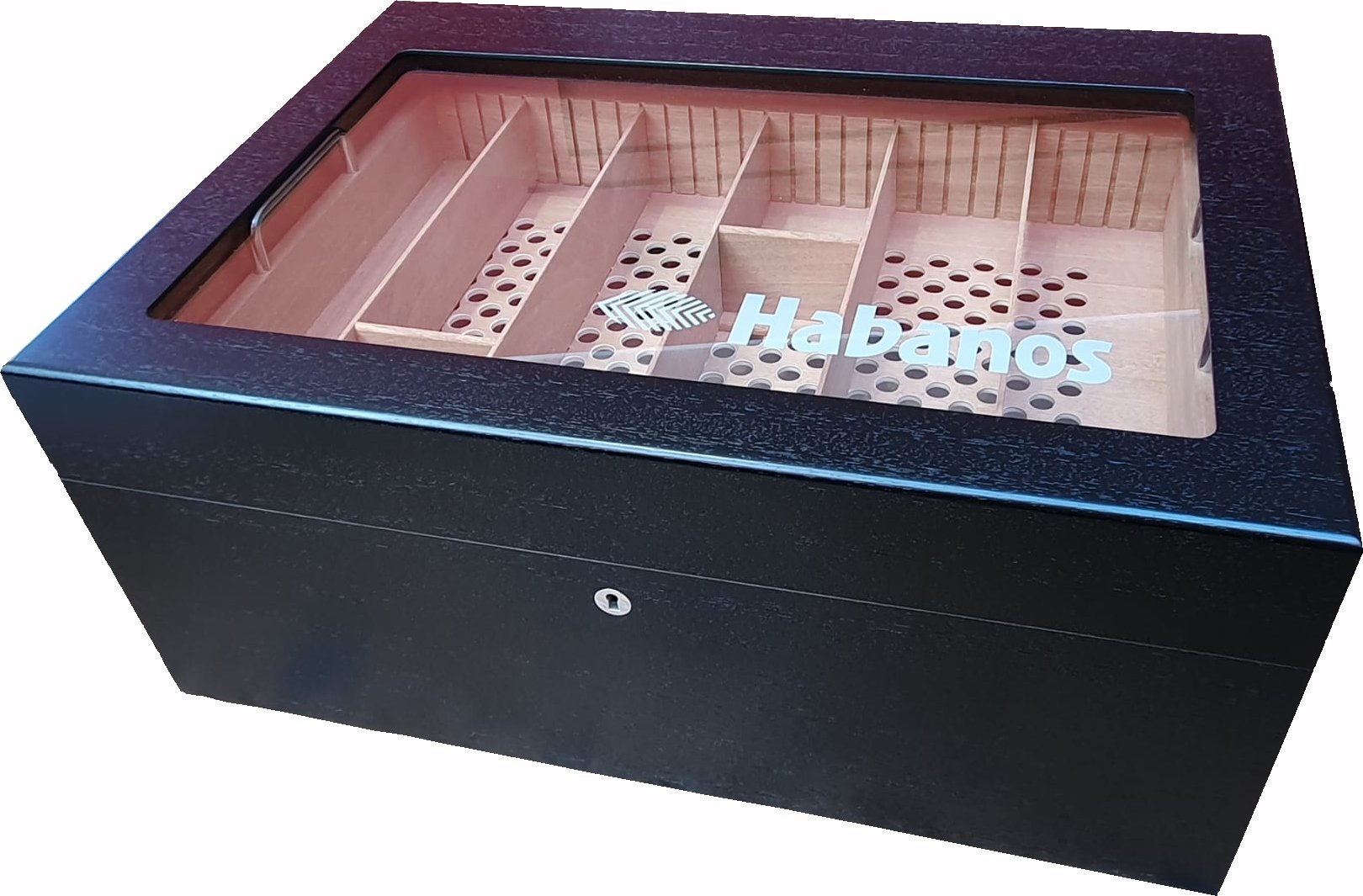 Habanos Markenhumidor Gastrohumidor 2019 Seidenschwarz (6396930)
