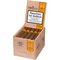 Classico Robusto Kiste II
