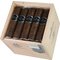 MADURO Short Robusto Kiste offen