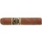 Regius Petit Robusto