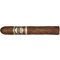 Casa Magna Colorado Robusto (5.5x52)