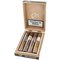 Leonel Taste Tour Sampler Taste of Excellence (4 Zigarren) Kiste offen