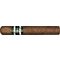 CAO OSA (Olancho San Augustin) OSA LOT 58