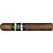CAO OSA (Olancho San Augustin) OSA LOT 50