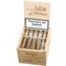 Aging Room M 356 Paco (Rothschild) Kiste offen