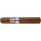 Carlos Torano Salutem Robusto Extra
