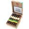 De Olifant Emotion Limited Edition Valentino Robusto Brasil 10er Kiste offen