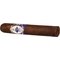Casa de Torres Limited Edition Famoso Especial XI Maduro_02