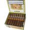 Coyol Robusto Kiste offen