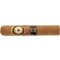 Perdomo Double Aged 12 Year Vintage Robusto (First Release 2014 - Ecuador Connec