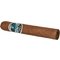 Asylum Cigars Schizo Robusto Zigarre