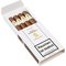 Davidoff Winston Churchill Robusto The Statesman 4er offen