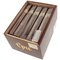 Epic Gold Robusto Kiste offen