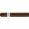 RoMa Craft Tobac WunderLust Robusto