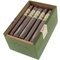Matilde Renacer OSCURO Corona Kiste offen