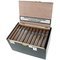Royal Danish Cigars Special Blend Making Short Filler Great Again Robusto Kiste offen