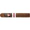 Royal Danish Cigars Special Blend Exclusive Germany (Cigarworld Düsseldorf)