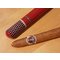 Flavoroute Tubo Ziegler No. 1 Wildkirsche Stimmungsbild