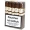Robusto Bundle