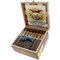 Paradiso Quintessence Belicoso Kiste offen
