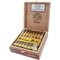 Costa Cigars Corona Kiste offen