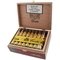 Costa Cigars Robusto Kiste offen