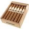 Cigarkings Toro Sun Grown Kiste offen