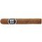 Secret Ashes Premium Robusto Serie-0004