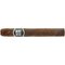 Secret Ashes Premium Toro Colorado Serie-0011