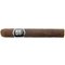 Secret Ashes Premium Serie-0010 Maduro Mexiko Toro