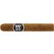 Secret Ashes Premium Serie-0011 Robusto Connecticut