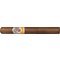 AVO Syncro Nicaragua Fogata Puritos
