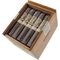 Cornelius & Anthony Meridian Robusto (5x52) Kiste offen
