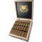 Vegas de Santiago Chaman Robusto Kiste offen