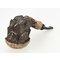 Spruce Cone (int Nr.184)-3