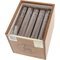 El Brujito Zigarren Robusto Kiste offen