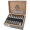 Costa Platinum Super Robusto Kiste offen