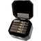 Guillermo Rico Black Dahlia Robusto (5x52) Kiste offen