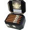 Black Dahlia Pyramid Kiste offen