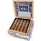 Blue in Green Shorty Robusto Kiste offen