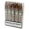 Casa Culinaria Connecticut Belicoso Bundle