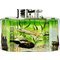 Aquarium Fish Green *