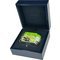 Aquarium Fish Green * Schatulle