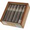 Casdagli Cigars Villa Casdagli Robusto Kiste offen