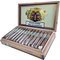 Foundation Cigars El Güegüense The Wise Man Toro Huaco Kiste offen