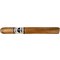 Foundation Cigars Charter OAK Connecticut Petit Corona