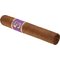 Exposure No. 2 Robusto