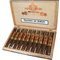 Rare d'Or Robusto Kiste offen
