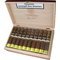 Barcelona Robusto XL Kiste offen