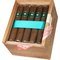 Clásico Robusto Kiste offen